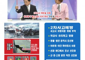 다마가 생명봉